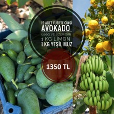 Avokado (Haftanın Paketi)