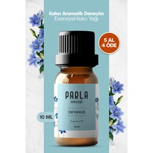 Parla Concept Çamaşır Yün Kurutma Topu Kokusu - Okyanus - 10 ml - 1 Adet - Esansiyel Uçucu Yağ