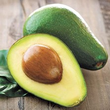 Taber Aşılı Zutano Avokado Fidanı 50-70 cm - Bahçenizin Verimini Artıran En Güçlü Tozlayıcı Tür