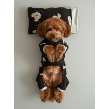 Kemique Doggy Köpek Uyku Takımı | Pamuklu Penye Köpek Tulumu ve Mini Yastık | Küçük Irklar Için | Tüy Dökülmesini Azaltır