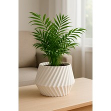 Zervano Geometrik Saksı - Vazo Modu ve Kabuklu 12 x 9 cm