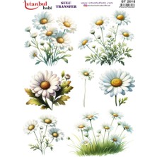 E Hobici Sulu Transfer Kağıdı 25X35CM ST-2015