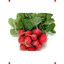 MarkEntegra Doğal Cherry Turp Tohumu