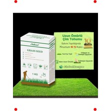 MarkEntegra 1 kg Çok Yıllık Çim Tohumu - 6'lı Karışım | 4 Mevsim Yeşil