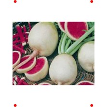 MarkEntegra Çin Turpu Tohumu - Hızlı Büyüyen 10 gr