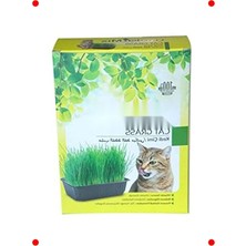 MarkEntegra Kedi Çimi Yetiştirme Kiti