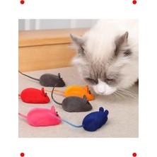 MarkEntegra Sesli Kedi Oyun Faresi Seti 2 Adet