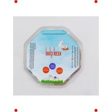 MarkEntegra Sekizgen Kedi Çimi - Sindirime Destek & Eğlence