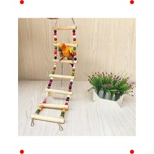 MarkEntegra Muhabbet Kuşu Ahşap Köprü & Merdiven 27X7CM