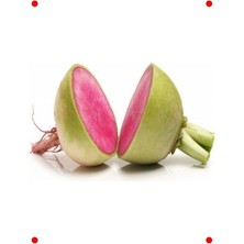 MarkEntegra Kırmızı Beyaz Turp Tohumu (5 Gram)