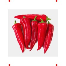 MarkEntegra Maraş Biberi Tohumu - 5 gr - Leneksel Lezzet