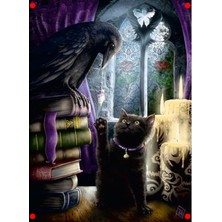 MarkEntegra Karga ve Kedi 500 Parça Sanat Yapbozu