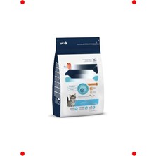 MarkEntegra Yavru Kedi Maması Tavuklu Pirinçli 3 kg