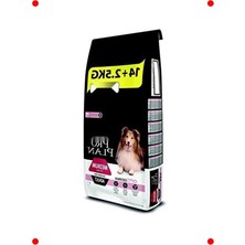 MarkEntegra Hassas Yetişkin Köpekler Için Somonlu Kuru Mama 16.5 kg