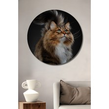 Teona Ahşap Muhteşem Tüy Dökümü Sanatlı Kedi Yağlı Boya Görünümlü Ahşap Dekoratif Tablo Yuvarlak Duvar Tablosu