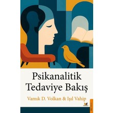 Beyaz Baykuş Yayınları Psikanalitik Tedaviye Bakış