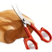 Tufty Detay (Oyma) Makası (1 Adet)