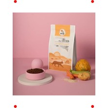 MarkEntegra Doğal Besi Kuzu Etli Yetişkin Kedi Maması, 2 kg