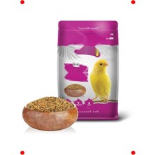 MarkEntegra Kanarya Yemi 500 G - Zengin Içerik