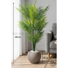 Biçiçek Areka Ağacı 24 Yapraklı 130 cm Küre Saksıda