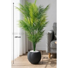 Biçiçek Areka Ağacı 24 Yapraklı 130 cm Küre Saksıda