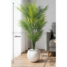 Biçiçek Areka Ağacı 24 Yapraklı 130 cm Küre Saksıda