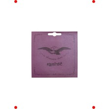 MarkEntegra Guilele Enstrüman Tel Takımı