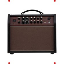 MarkEntegra Fesyonel Akustik Gitar ve Vokal Amfisi