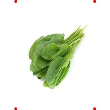 MarkEntegra Ekşi Kuzukulağı Tohumu - 3 Gram