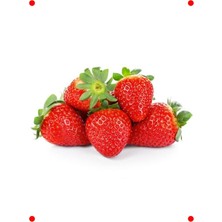 MarkEntegra Çilek Tohumu (Çoklu Paket, 3 Gram)