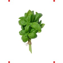 MarkEntegra Aromatik Fesleğen Tohumu (3 Gr) - Mutfakların Favorisi