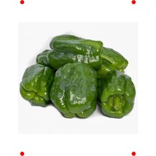 MarkEntegra Antep Acı Dolmalık Biber Tohumu - Yöresel Lezzet