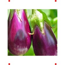 MarkEntegra Antep Patlıcan Tohumu - Leneksel Damak Zevki