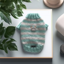 Lady Fify Kedi ve Köpek için Tavşanlı Turkuaz Beyaz Kazak