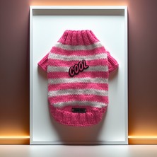 Lady Fify Kedi ve Köpek için Pembe Beyaz Cool Kazak