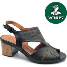 Venüs Limbati Hakiki Deri Comfort Ortopedik Kadın Sandalet