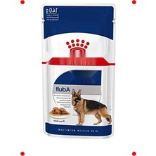 MarkEntegra Büyük Irk Yetişkin Köpek Yaş Maması - 140 gr x 10 Adet