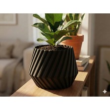 Zervano Geometrik Saksı - Vazo Modu ve Kabuklu 12 x 9 cm