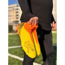Yeni Kx 'blanka' Elite Seviye Krampon
