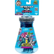 Mrbeast Hybrıds Teklı Paket CDU8-24901