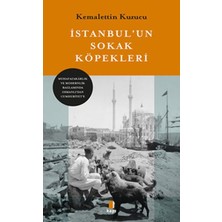 Kapı Yayınları Istanbul’un Sokak Köpekleri
