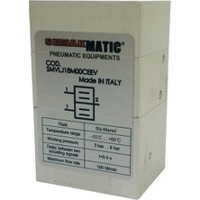 Semakmatic Çift El Emniyet Pnömatik Valfi