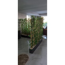 Erhan Flowers 4 Adet 100 cm Saksıda 180 cm Bambu Speratör