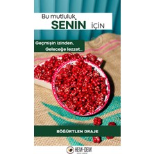 Hemdem Böğürtlenli Draje 250 gr