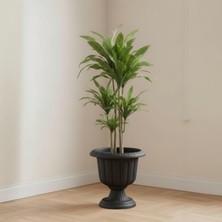 Bliss Nergis Dekoratif Antrasit Ayaklı Saksı Plastik Çiçek Saksısı