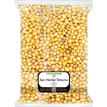 Zencefil Organik Sarı Hardal Tohumu 1 kg 1. Kalite Taze Mahsul