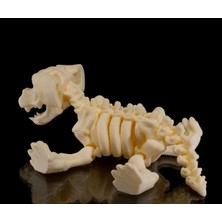 Hareketli Hayvan Iskelet Figürleri Seti – 6’lı | T-Rex • Köpek • Kedi • Fil • Hipopotam • Tavşan (5–15 Cm)