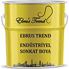 Ebrus Trend Endüstriyel Son Kat Boyası (2 Grup) 1 kg