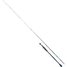 Ryuji Seahunter Fuji 206 cm 80-300 gr Tetikli Jig Kamş
