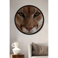 Aslan Gözleri Yağlı Boya Görünümlü Ahşap Dekoratif Tablo Yuvarlak Duvar Tablosu Çerçeve Görünümlü